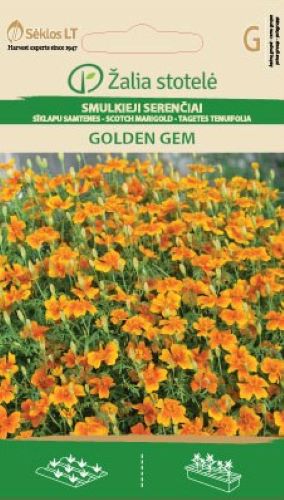 Tagetes Golden Gem Seeds